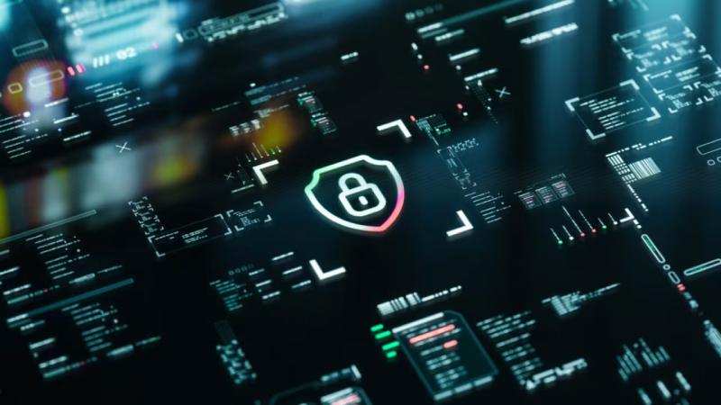 乐陵市软件开发公司